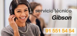 servicio técnico gibson madrid